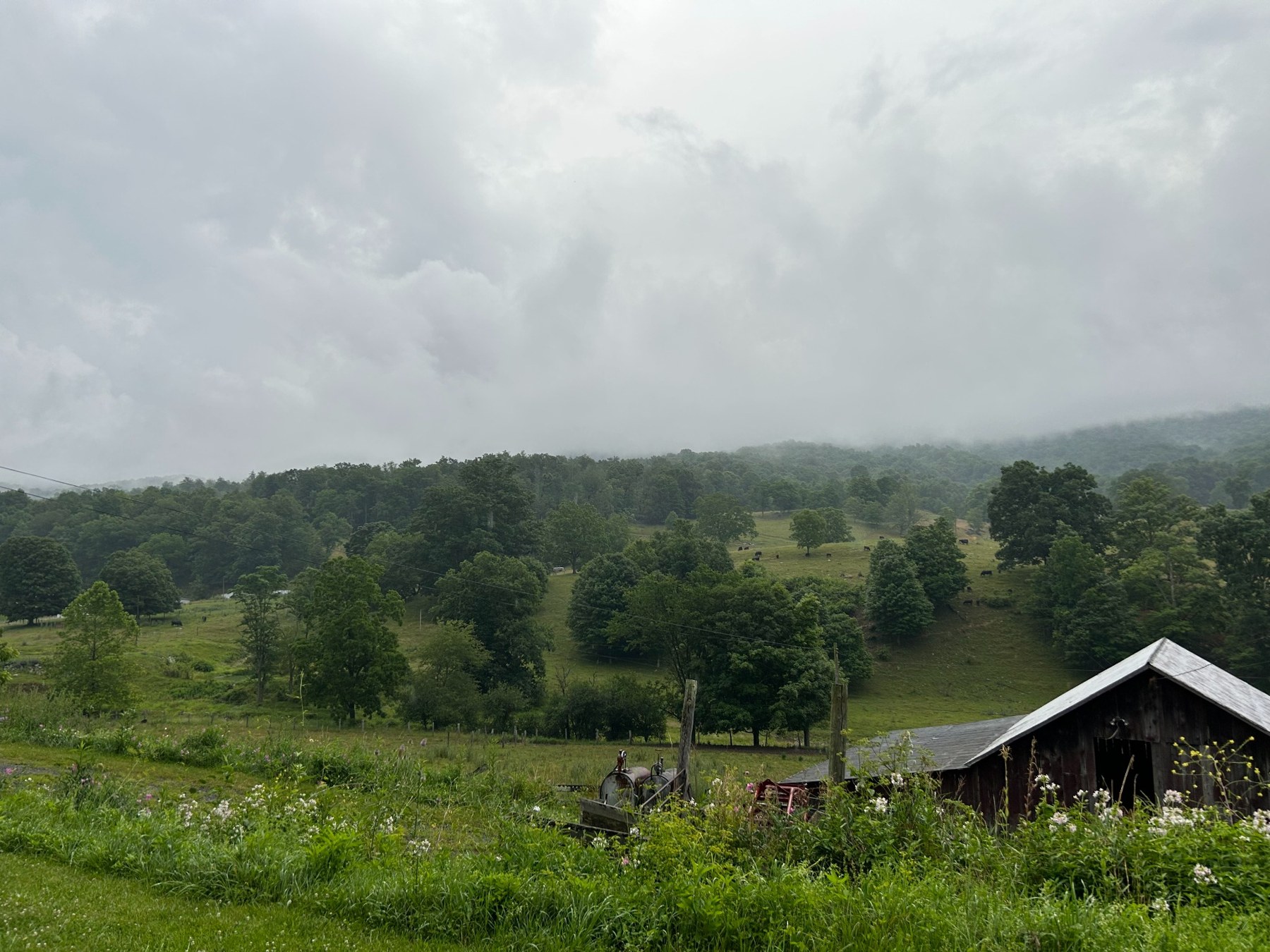 A barn and pasture beneath misty hills