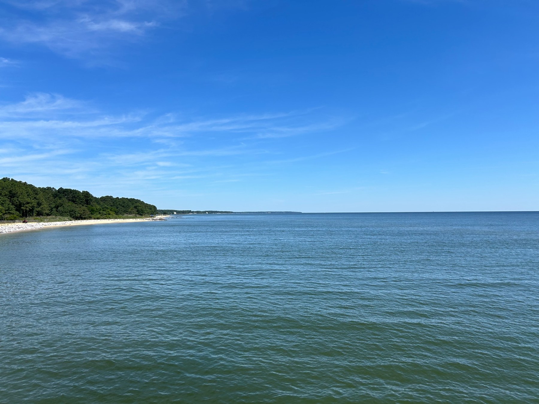 Blue water beside a wooded shoreline