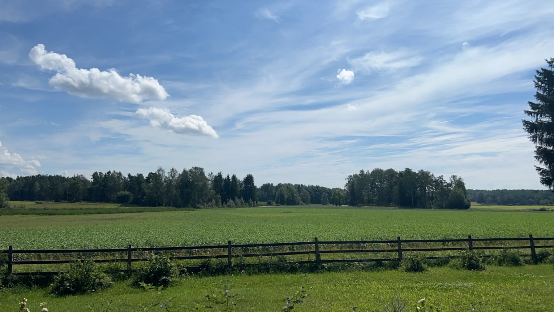Open fields beneath a blue sky