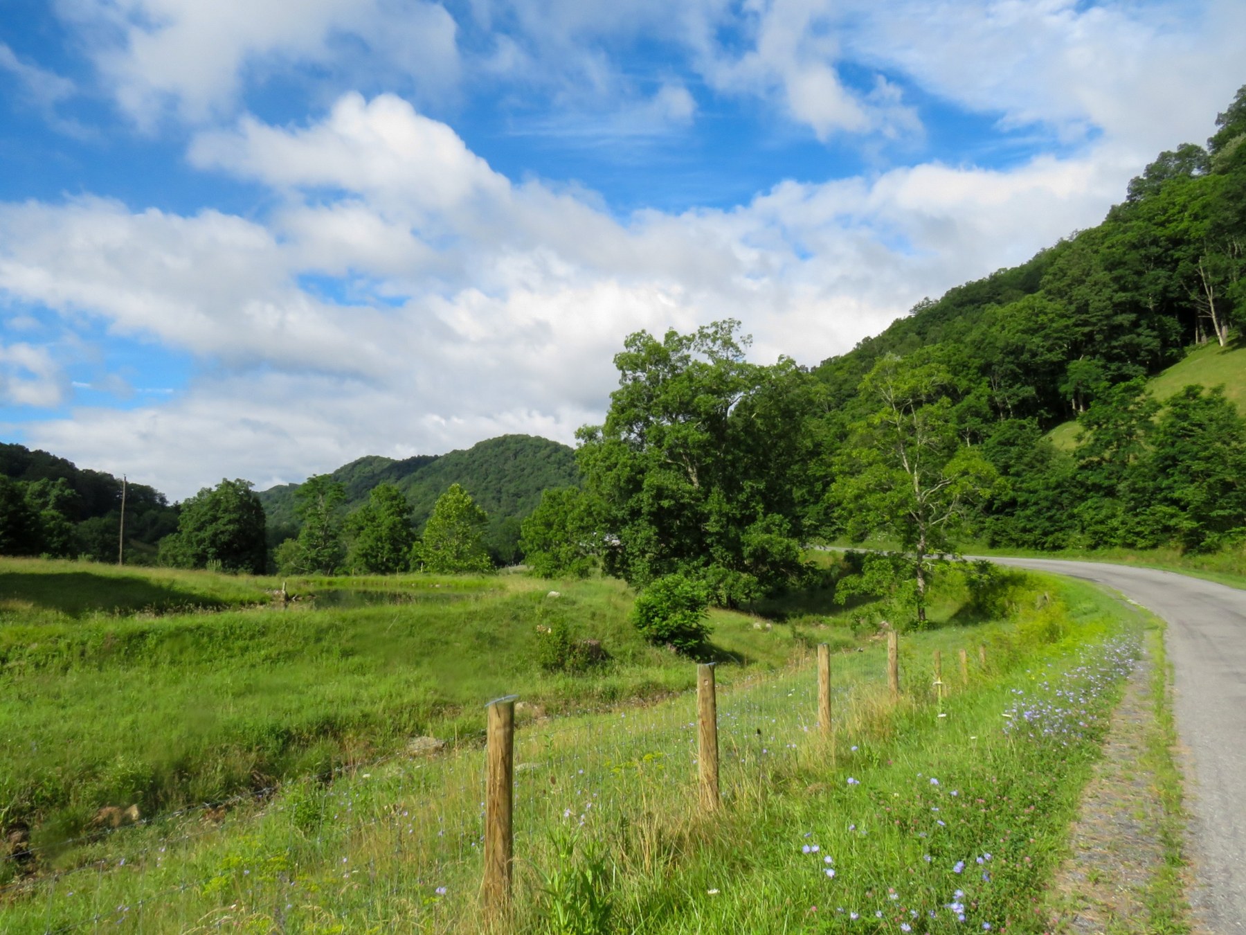 A sunny lane winding through green hills