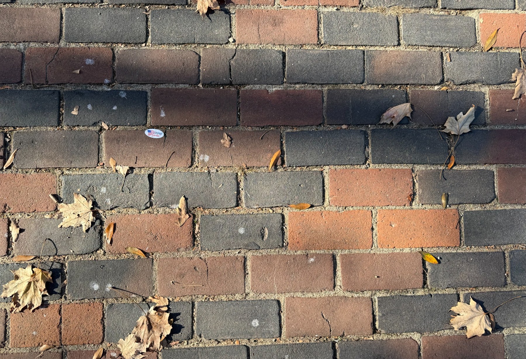 Autumn leaves and an early-voting sticker on a brick pavement