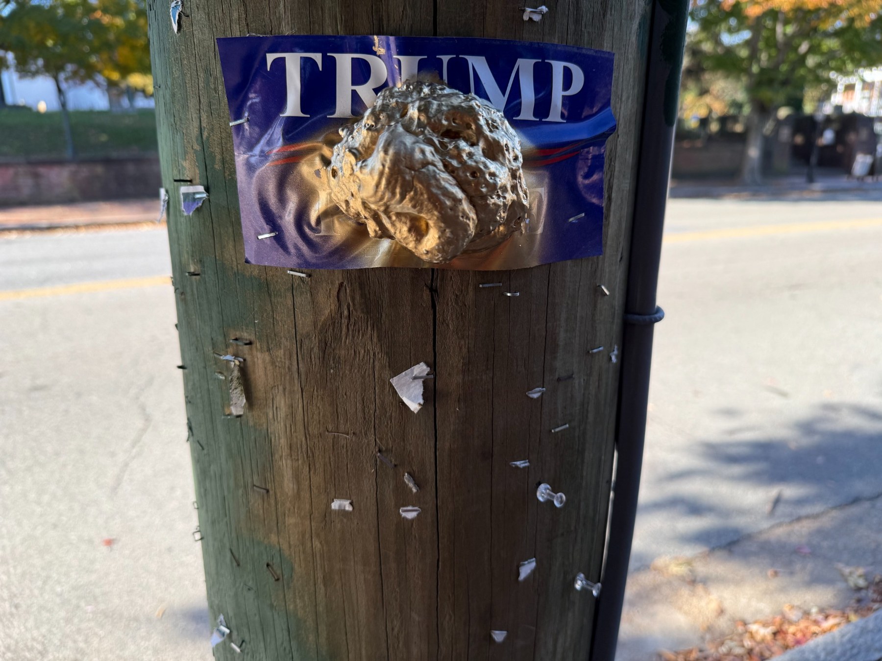 A gold-colored sculpted object attached over a campaign sign on a wooden pole